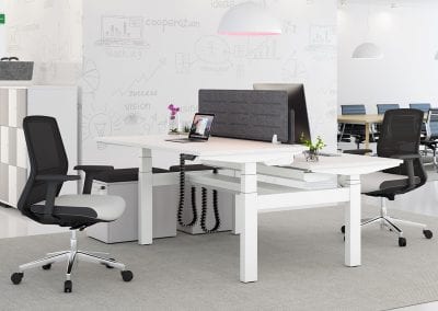 Double white sit or stand height adjustable desks with cable management, desktop divider screens and fully adjustable operators chairs