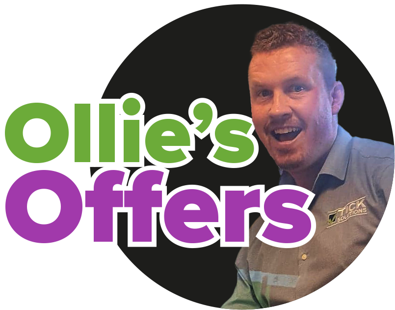 Ollies Offers Temp